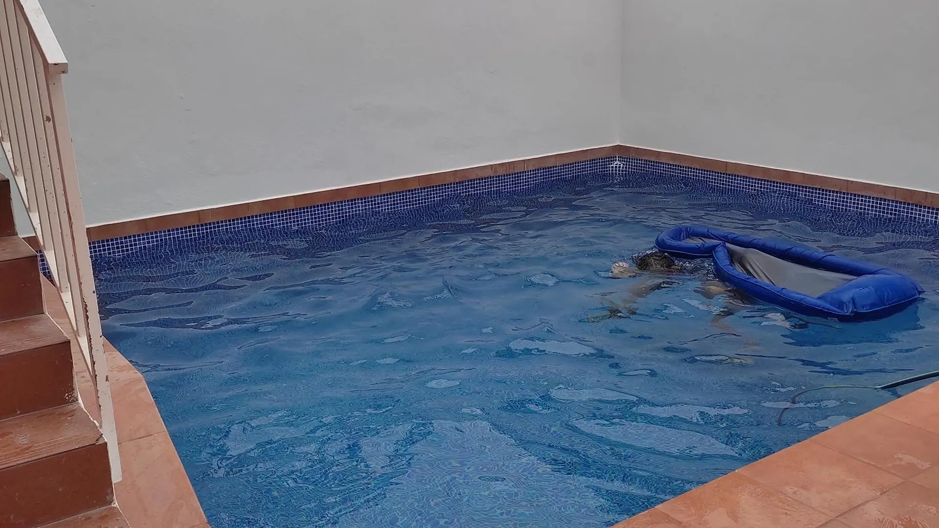 Little Heaven Apartment Santa Cruz de Tenerife 0*,